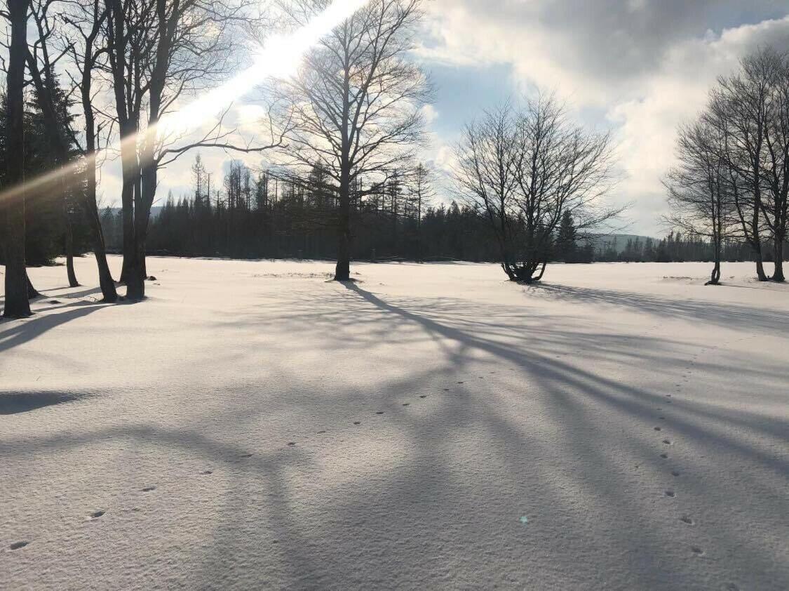 Altes Forsthaus Koenigskrug Apartman Braunlage Kültér fotó